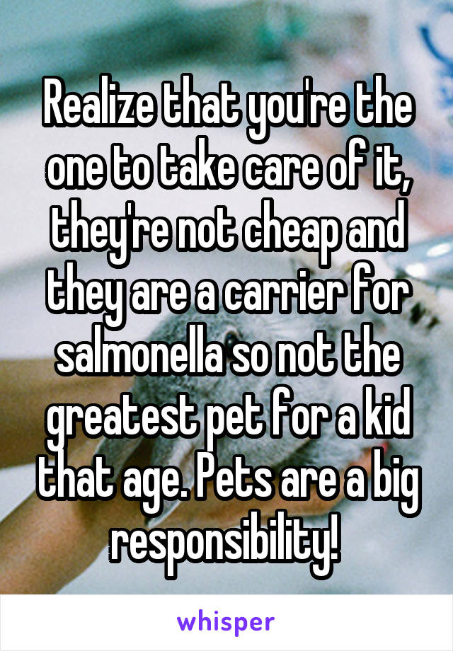 Realize that you're the one to take care of it, they're not cheap and they are a carrier for salmonella so not the greatest pet for a kid that age. Pets are a big responsibility! 