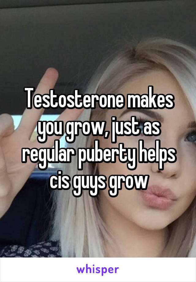 Testosterone makes you grow, just as regular puberty helps cis guys grow