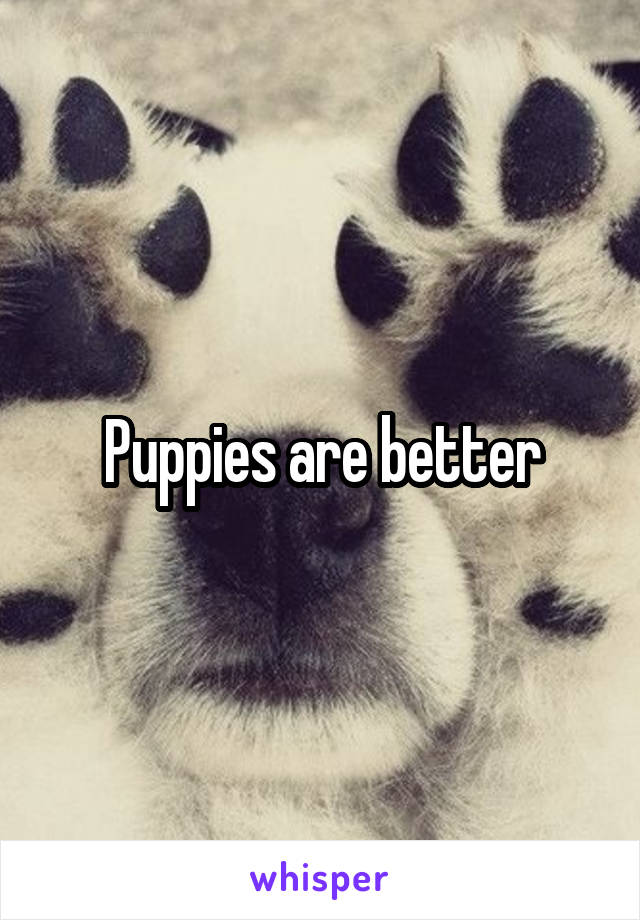 Puppies are better