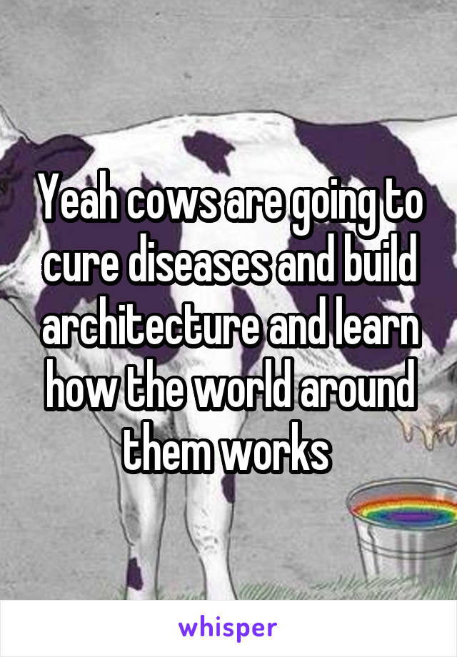 Yeah cows are going to cure diseases and build architecture and learn how the world around them works 
