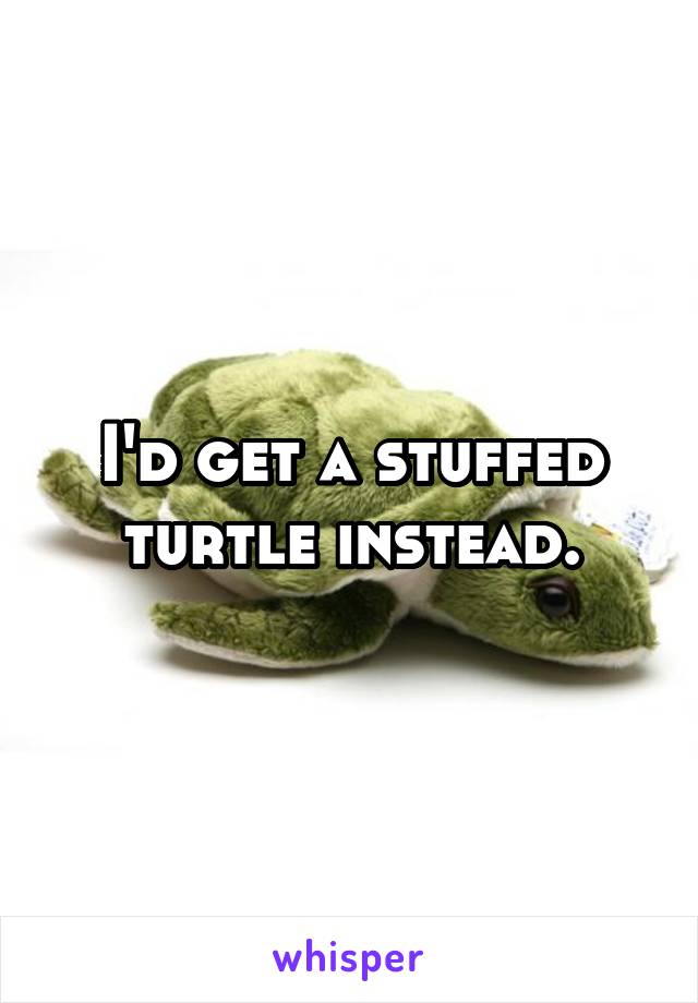 I'd get a stuffed turtle instead.