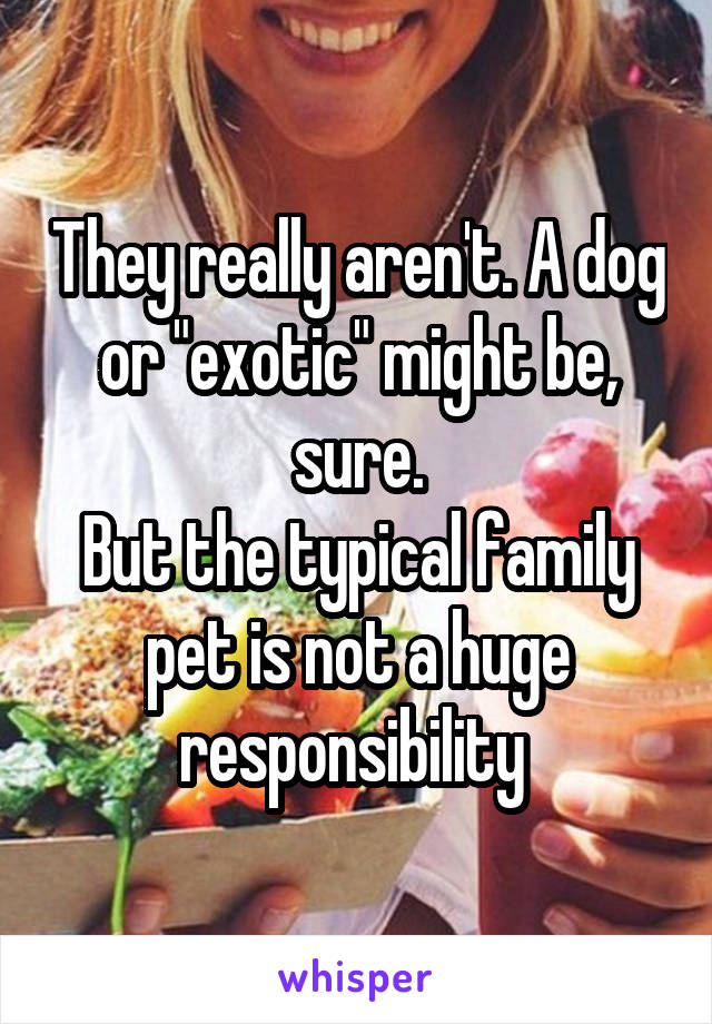 They really aren't. A dog or "exotic" might be, sure.
But the typical family pet is not a huge responsibility 