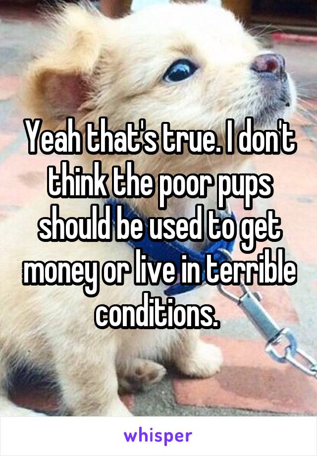 Yeah that's true. I don't think the poor pups should be used to get money or live in terrible conditions. 