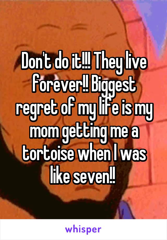 Don't do it!!! They live forever!! Biggest regret of my life is my mom getting me a tortoise when I was like seven!! 