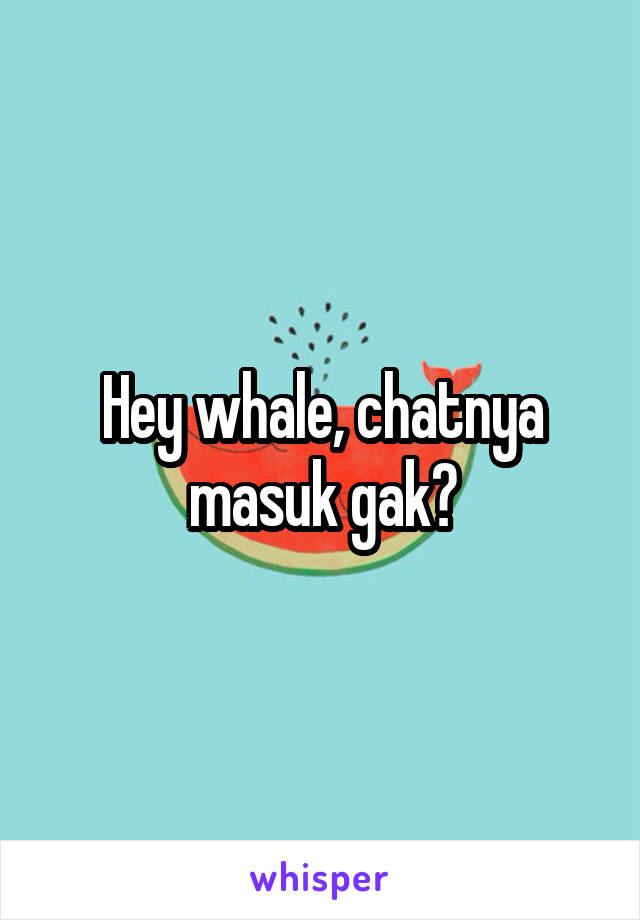 Hey whale, chatnya masuk gak?