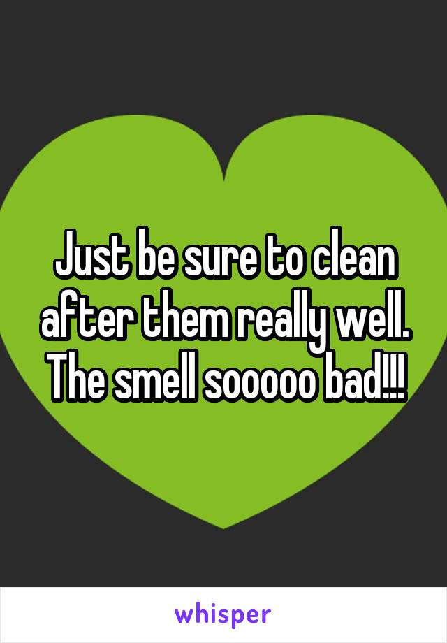 Just be sure to clean after them really well. The smell sooooo bad!!!