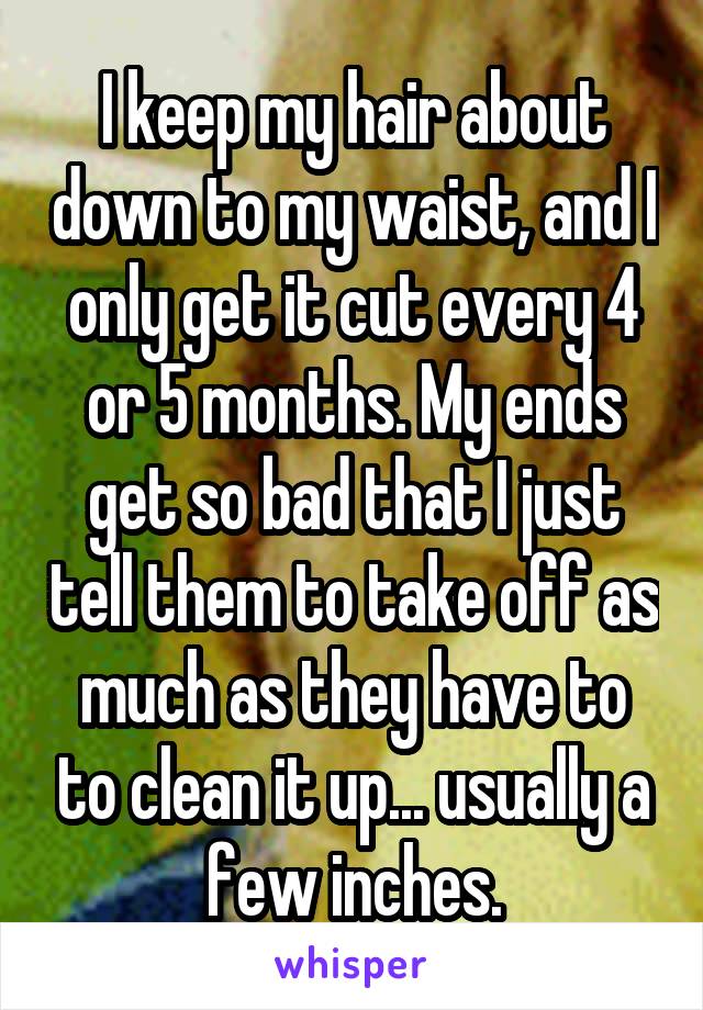 I keep my hair about down to my waist, and I only get it cut every 4 or 5 months. My ends get so bad that I just tell them to take off as much as they have to to clean it up... usually a few inches.