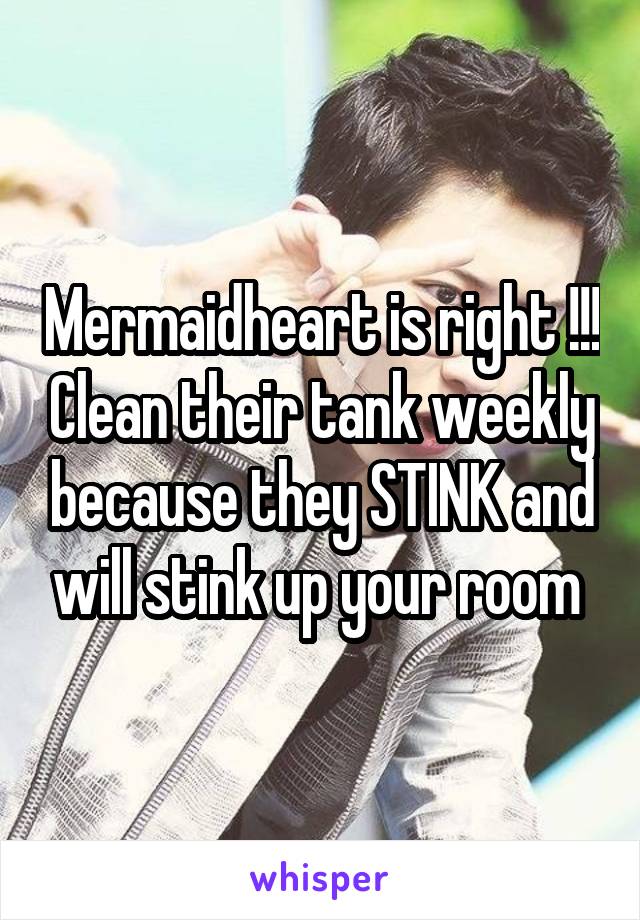 Mermaidheart is right !!! Clean their tank weekly because they STINK and will stink up your room 