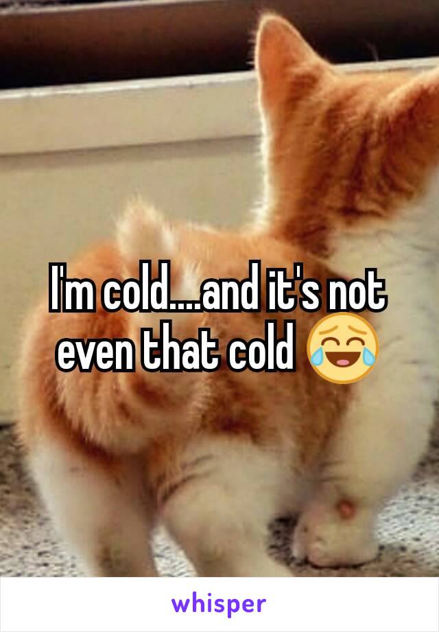 I'm cold....and it's not even that cold 😂