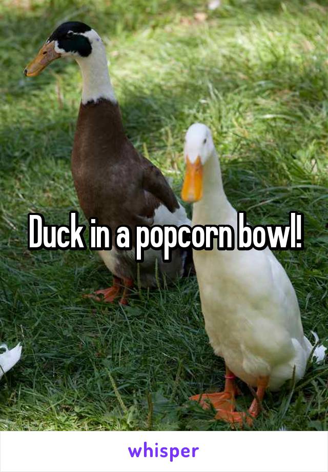 Duck in a popcorn bowl!