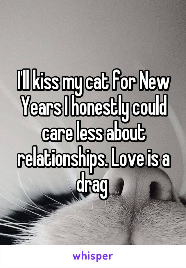 I'll kiss my cat for New Years I honestly could care less about relationships. Love is a drag 