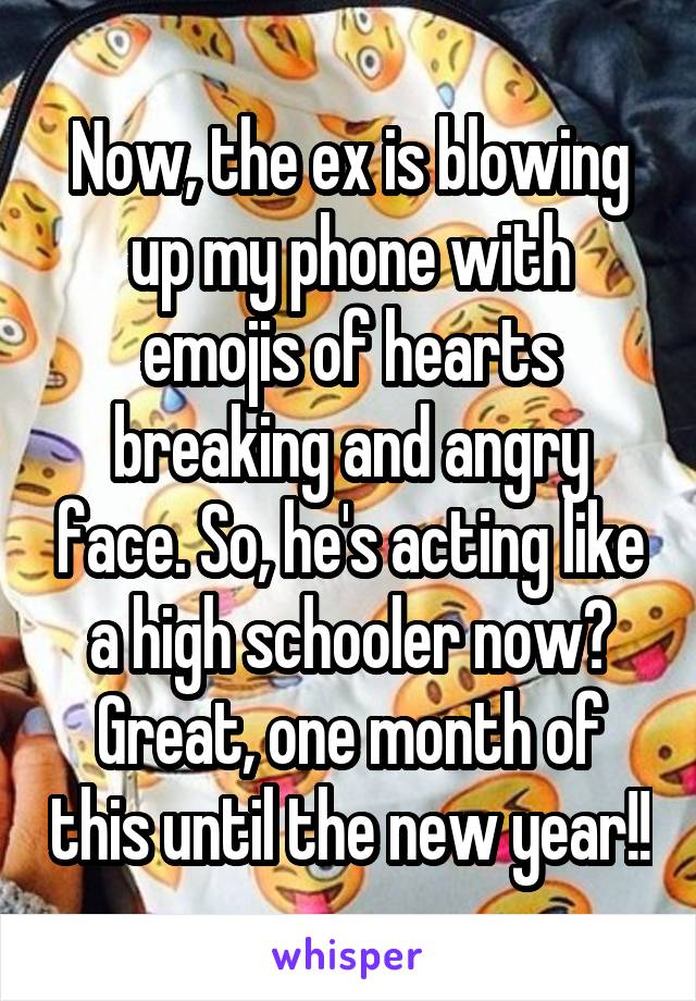Now, the ex is blowing up my phone with emojis of hearts breaking and angry face. So, he's acting like a high schooler now? Great, one month of this until the new year!!