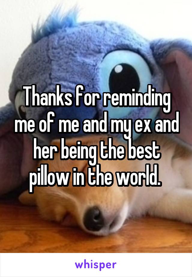 Thanks for reminding me of me and my ex and her being the best pillow in the world. 