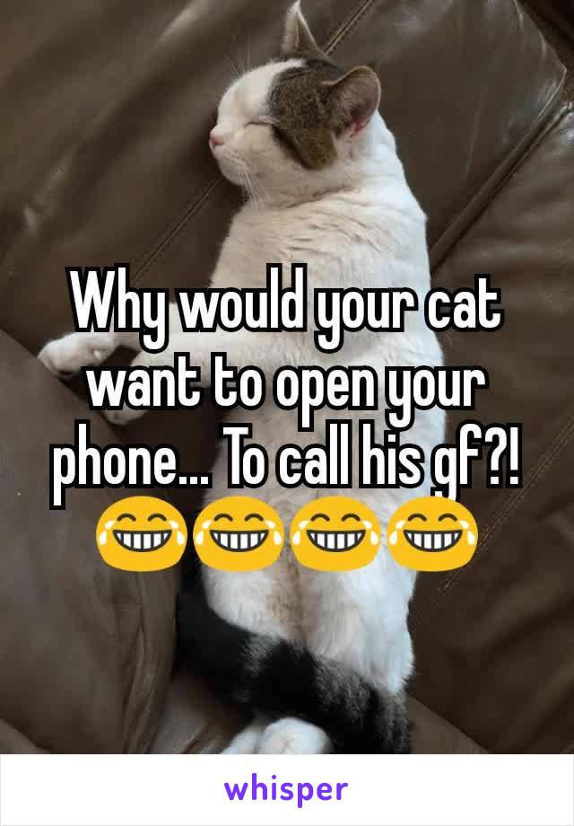 Why would your cat want to open your phone... To call his gf?!
😂😂😂😂