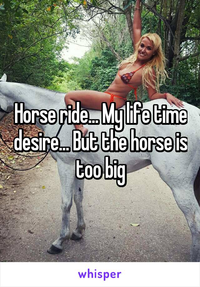 Horse ride... My life time desire... But the horse is too big