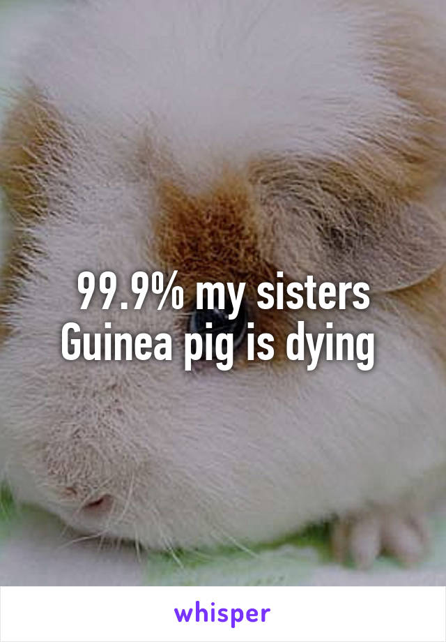 99.9% my sisters Guinea pig is dying 