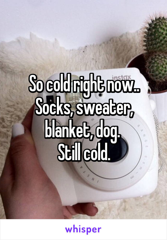 So cold right now..
Socks, sweater, blanket, dog. 
Still cold.