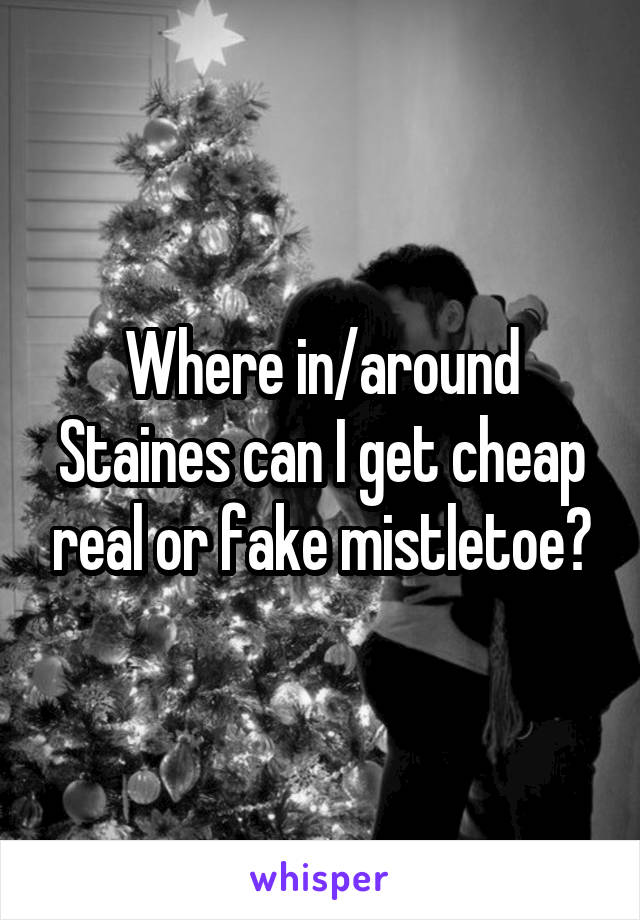 Where in/around Staines can I get cheap real or fake mistletoe?
