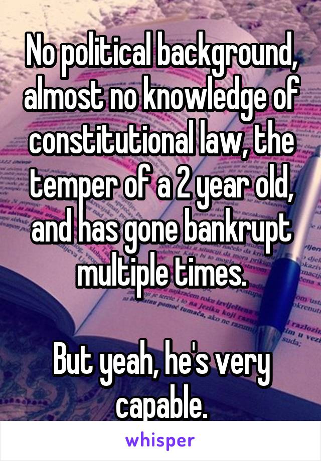 No political background, almost no knowledge of constitutional law, the temper of a 2 year old, and has gone bankrupt multiple times.

But yeah, he's very capable.