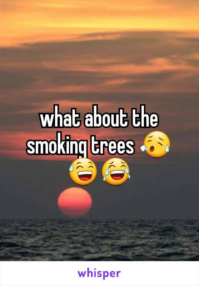 what about the smoking trees 😥😅😂