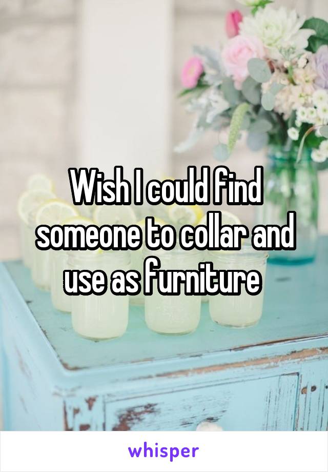Wish I could find someone to collar and use as furniture 
