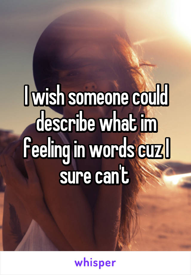 I wish someone could describe what im feeling in words cuz I sure can't 