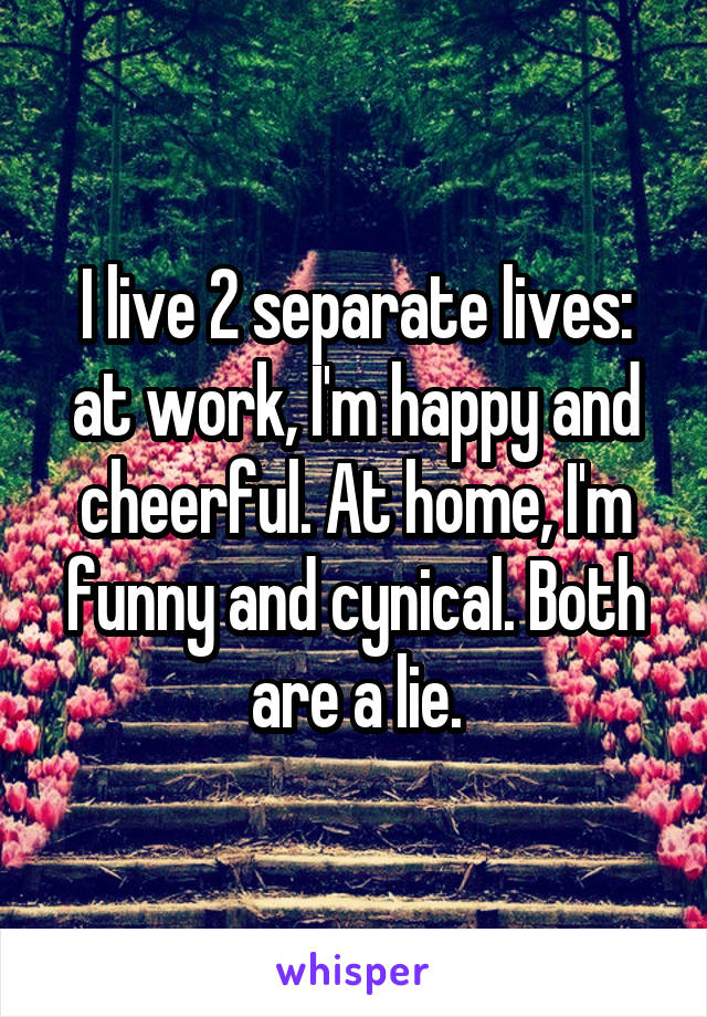 I live 2 separate lives: at work, I'm happy and cheerful. At home, I'm funny and cynical. Both are a lie.