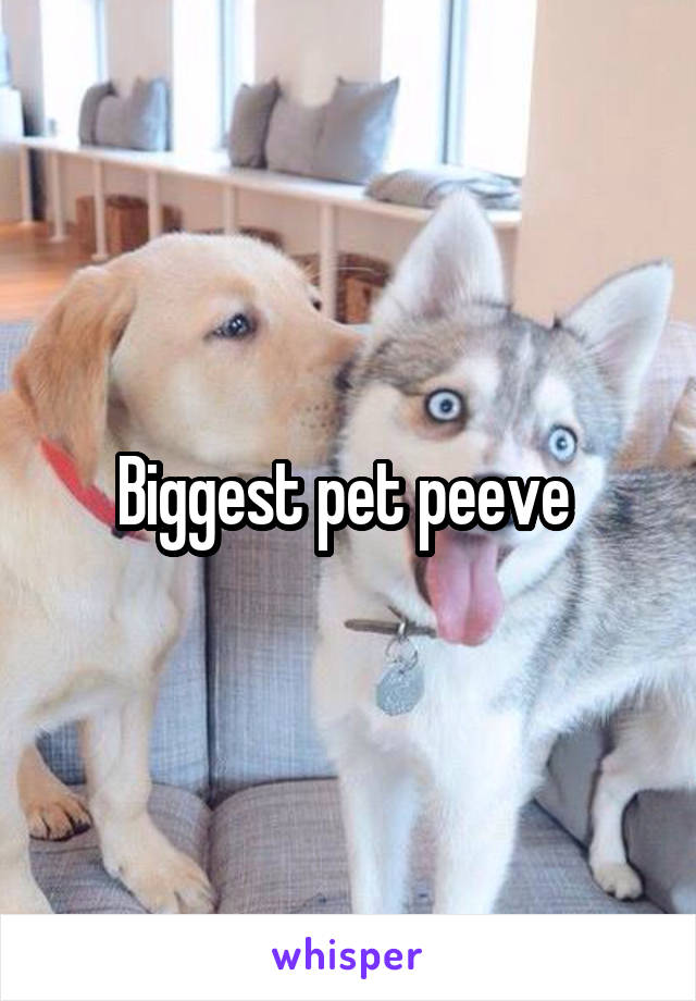 Biggest pet peeve 