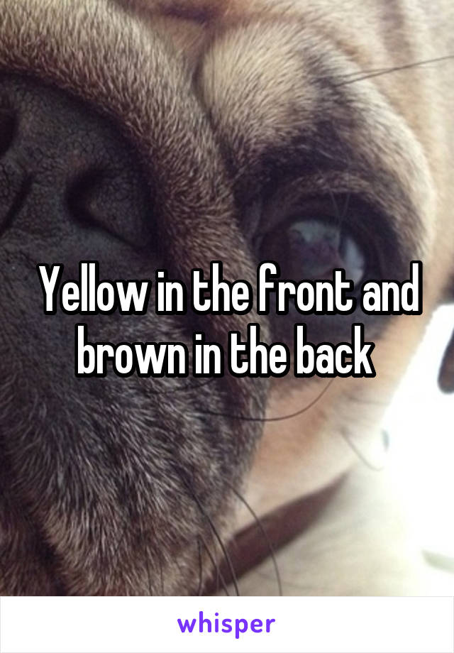 Yellow in the front and brown in the back 