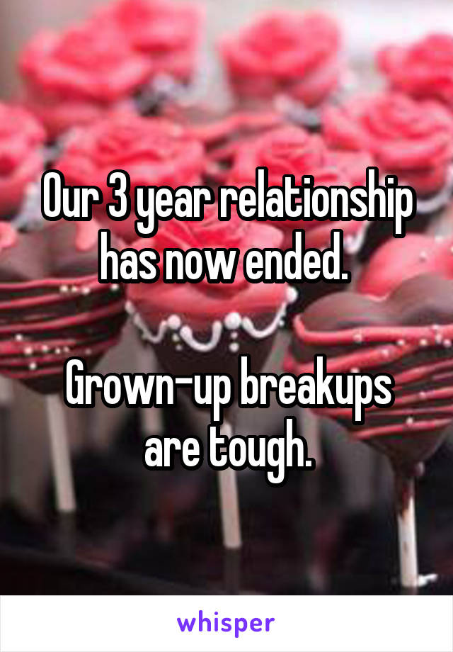 Our 3 year relationship has now ended. 

Grown-up breakups are tough.