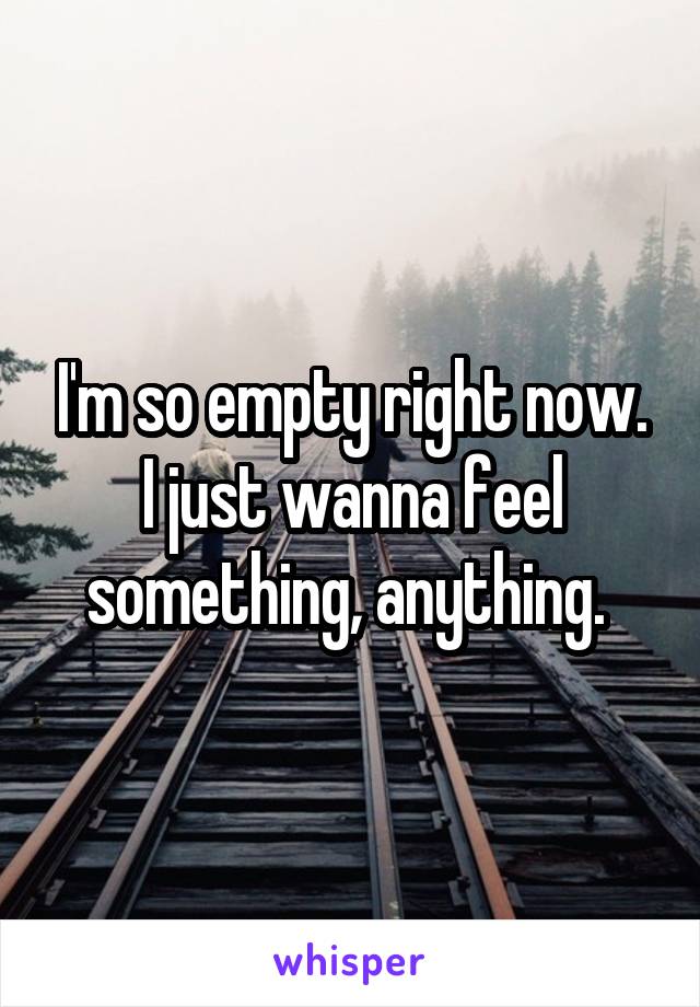 I'm so empty right now. I just wanna feel something, anything. 