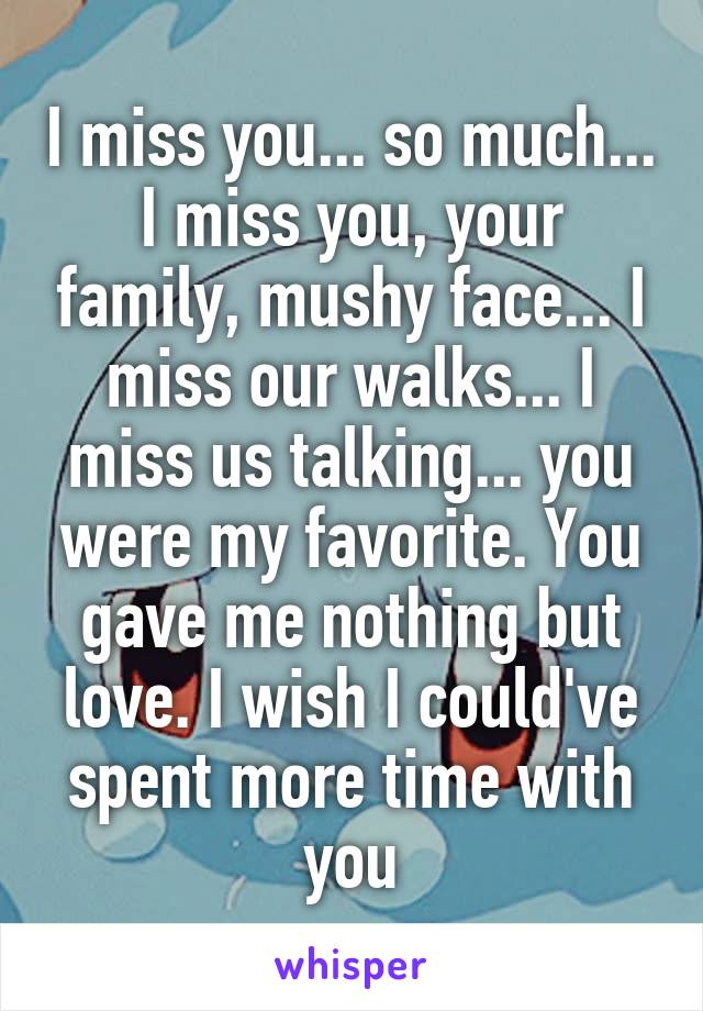 I miss you... so much... I miss you, your family, mushy face... I miss our walks... I miss us talking... you were my favorite. You gave me nothing but love. I wish I could've spent more time with you