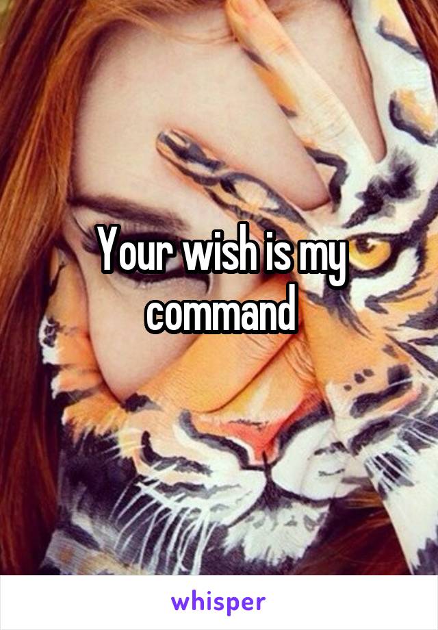 Your wish is my command
