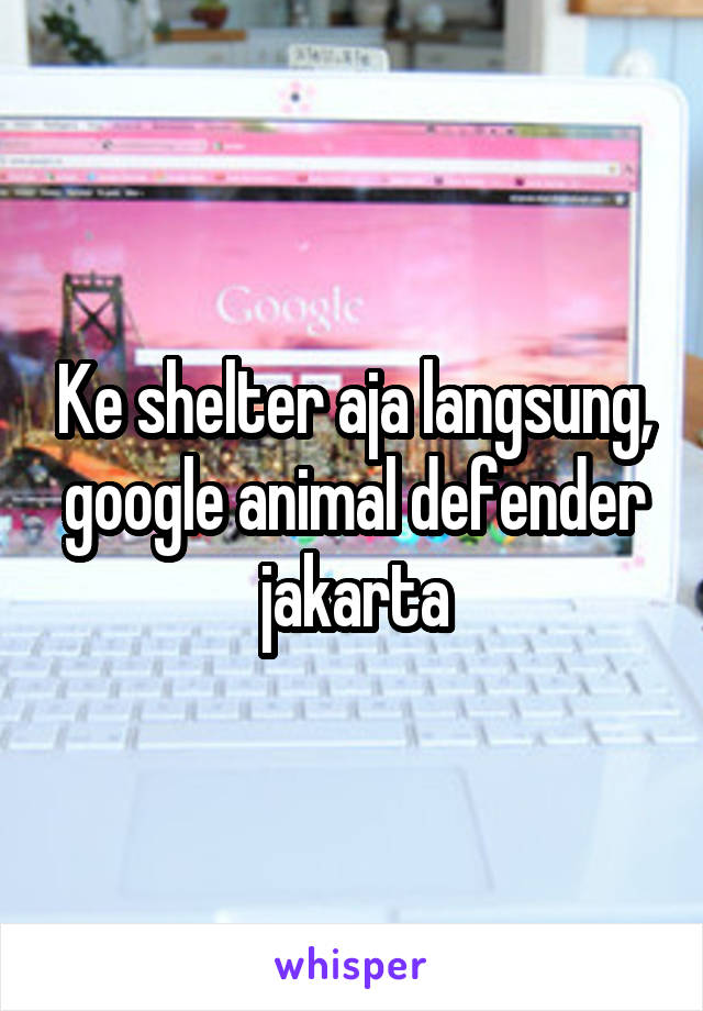 Ke shelter aja langsung, google animal defender jakarta