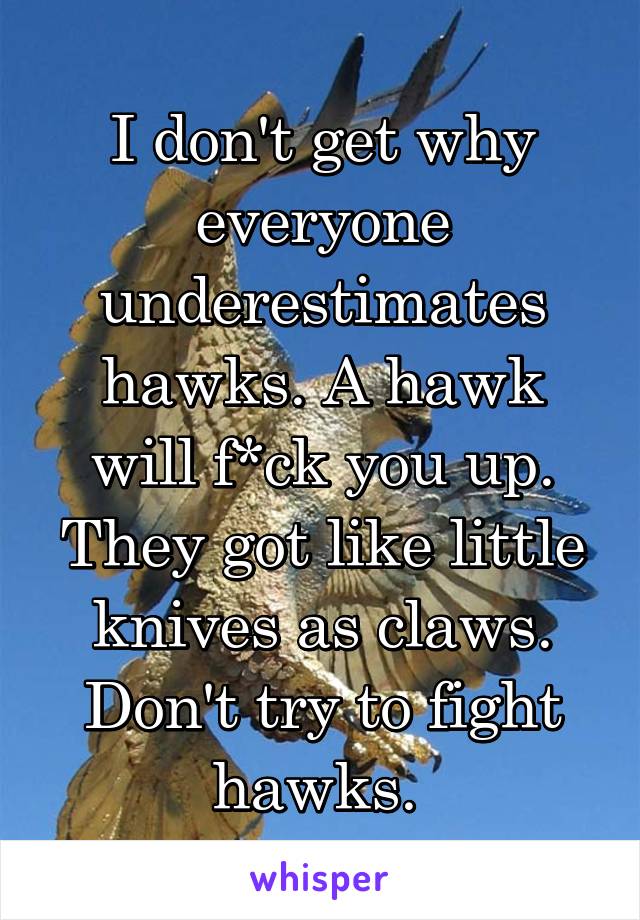 I don't get why everyone underestimates hawks. A hawk will f*ck you up. They got like little knives as claws. Don't try to fight hawks. 