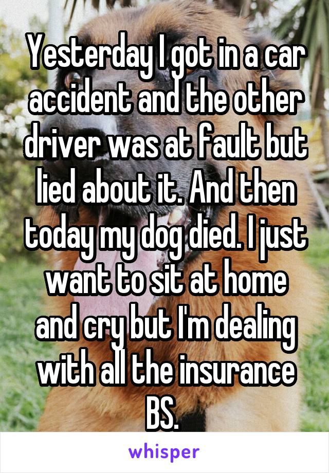 Yesterday I got in a car accident and the other driver was at fault but lied about it. And then today my dog died. I just want to sit at home and cry but I'm dealing with all the insurance BS. 