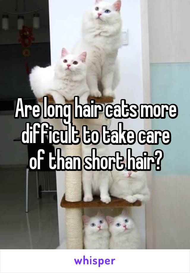 Are long hair cats more difficult to take care of than short hair?
