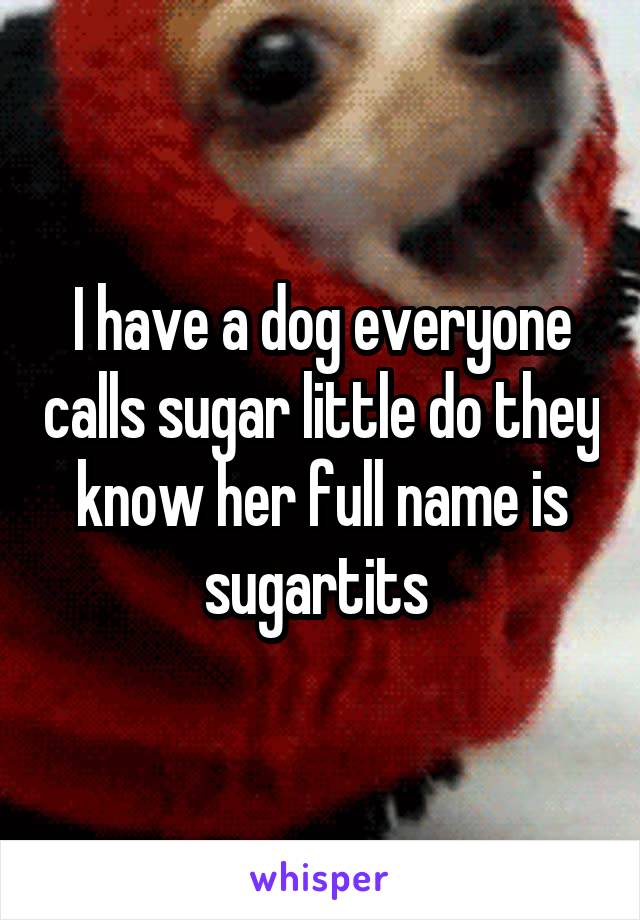 I have a dog everyone calls sugar little do they know her full name is sugartits 