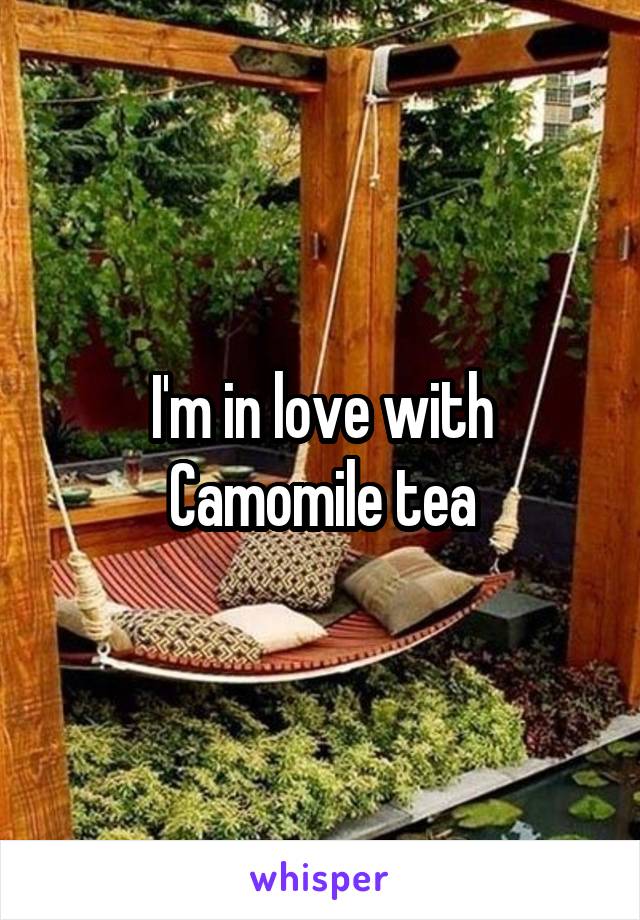 I'm in love with Camomile tea