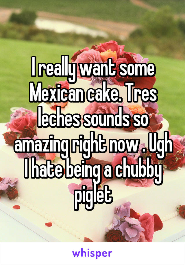 I really want some Mexican cake. Tres leches sounds so amazing right now . Ugh I hate being a chubby piglet