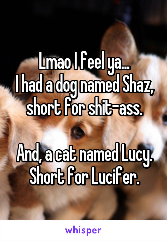 Lmao I feel ya...
I had a dog named Shaz, short for shit-ass.

And, a cat named Lucy. Short for Lucifer.