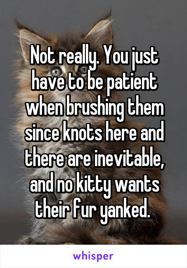 Not really. You just have to be patient when brushing them since knots here and there are inevitable, and no kitty wants their fur yanked. 