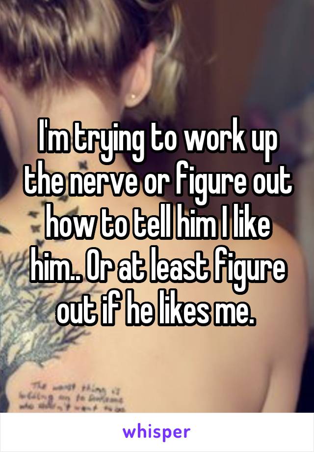 I'm trying to work up the nerve or figure out how to tell him I like him.. Or at least figure out if he likes me. 