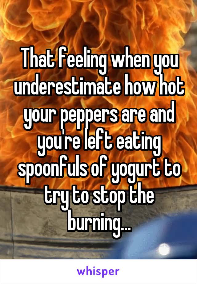 That feeling when you underestimate how hot your peppers are and you're left eating spoonfuls of yogurt to try to stop the burning...