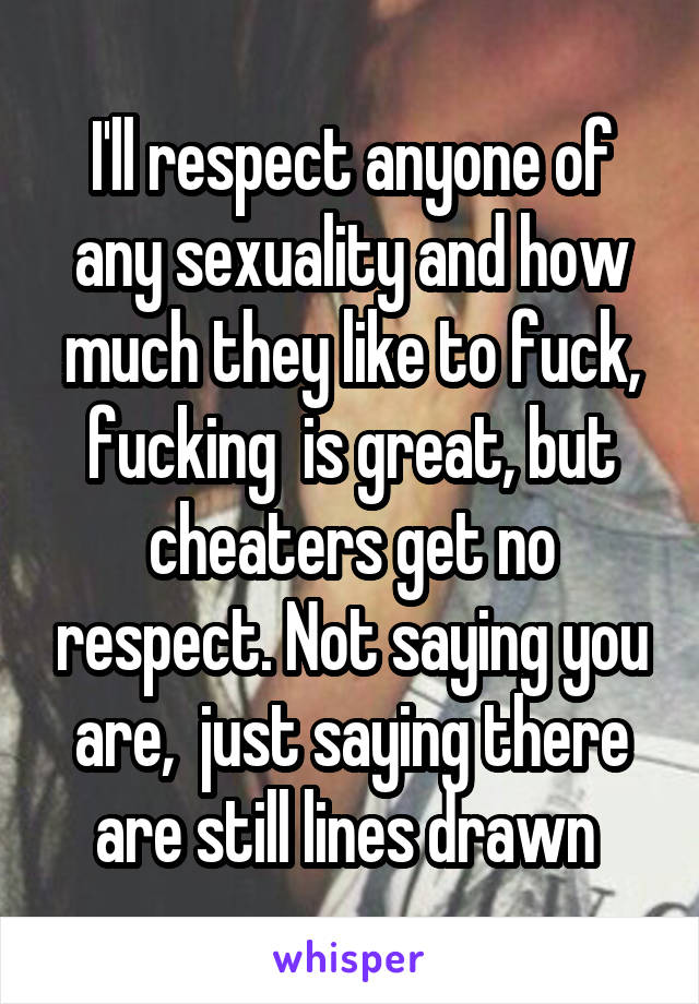 I'll respect anyone of any sexuality and how much they like to fuck, fucking  is great, but cheaters get no respect. Not saying you are,  just saying there are still lines drawn 