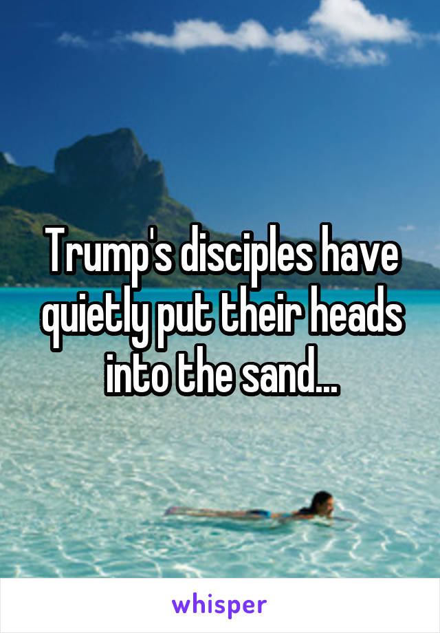 Trump's disciples have quietly put their heads into the sand...