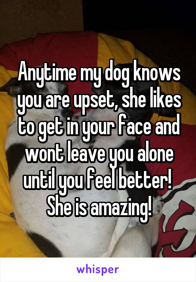 Anytime my dog knows you are upset, she likes to get in your face and wont leave you alone until you feel better!  She is amazing!