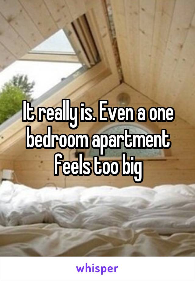 It really is. Even a one bedroom apartment feels too big