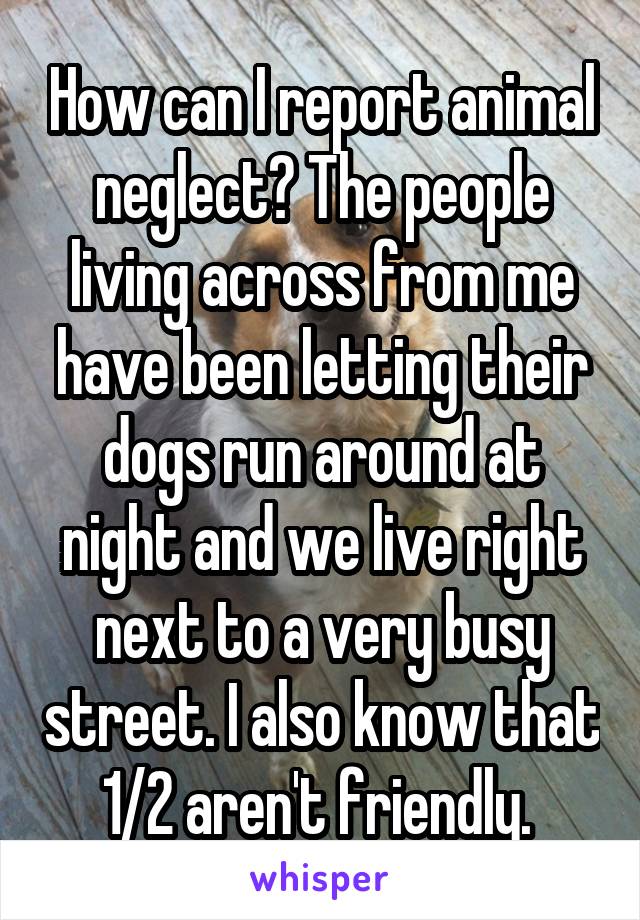 How can I report animal neglect? The people living across from me have been letting their dogs run around at night and we live right next to a very busy street. I also know that 1/2 aren't friendly. 