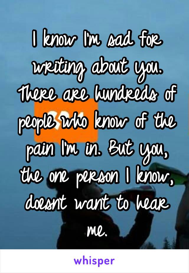 I know I'm sad for writing about you. There are hundreds of people who know of the pain I'm in. But you, the one person I know, doesnt want to hear me.